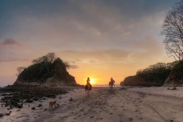 Couple enjoying horseback riding on a beach at the sunset