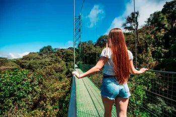 Hanging Bridges and Rainforest Trail Hike