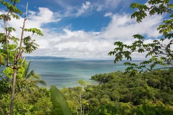 Costa Rica Birding Hotspots: San Gerardo de Dota and Puerto Jiménez