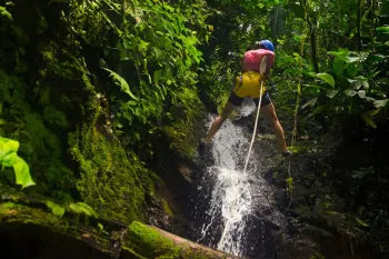 Jungle Adventure on the Caribbean: La Paz - Vara Blanca Cloud Forest and Pacuare