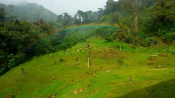 Costa Rica Heartlands: Arenal Volcano and San Ramón Cloud Forest