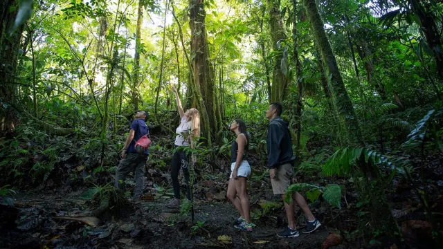 guided-nature-walk-through-arenal-volcano-national-park-rainforest-trail.jpg
