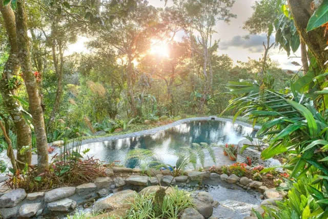 Terraced pools surrounded by green rainforest in a sunny morning